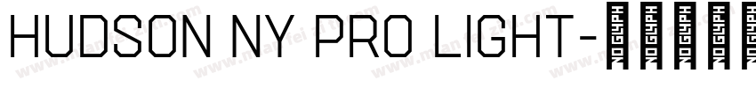 Hudson NY Pro Light字体转换